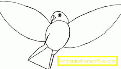 Ako nakresliť vták s ceruzkou?