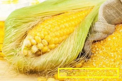 Výhody a škody na kukuričnej múke