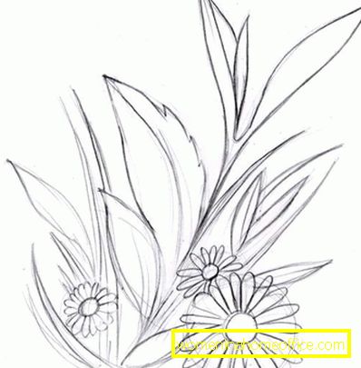 Nakreslite kvety v ceruzke v stupňoch